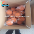 concrete pump cleaning ball Cleaning Equipment Parts